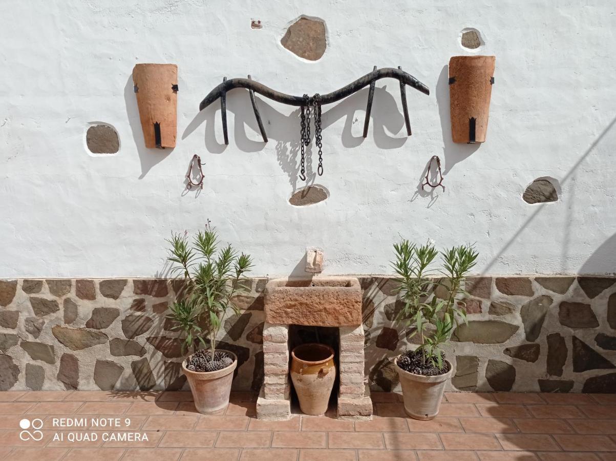 La Casa Del Paseo Banos De La Encina